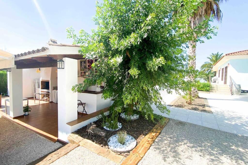 Relax en la huerta de Murcia Exterior foto